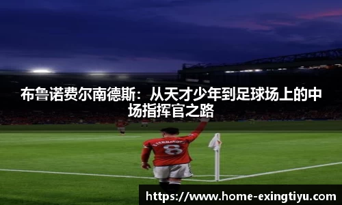 e星体育官网